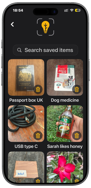Browsing Saved Items in Twigged Snap